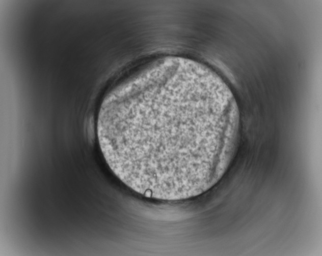 X0000096410020200802211235
