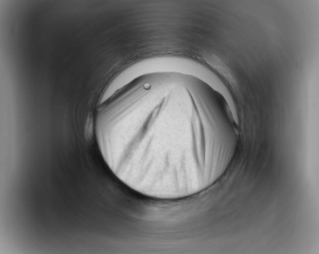 X0000096410021200802211235
