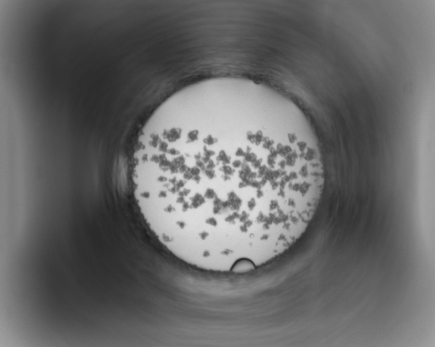 X0000096410022200802211235