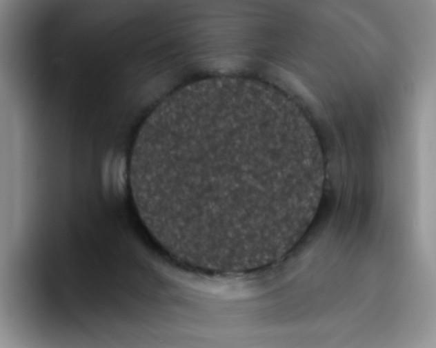 X0000096410024200802211235
