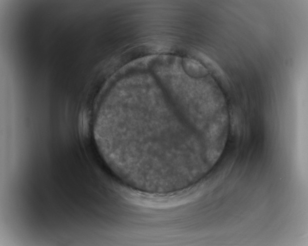 X0000096410026200802211235