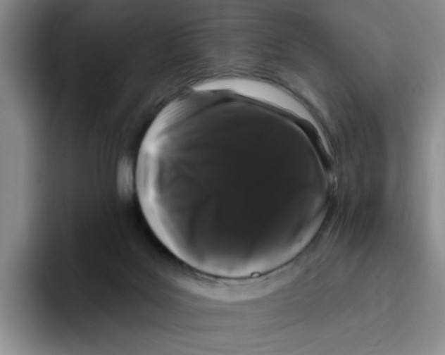 X0000096410027200802211235