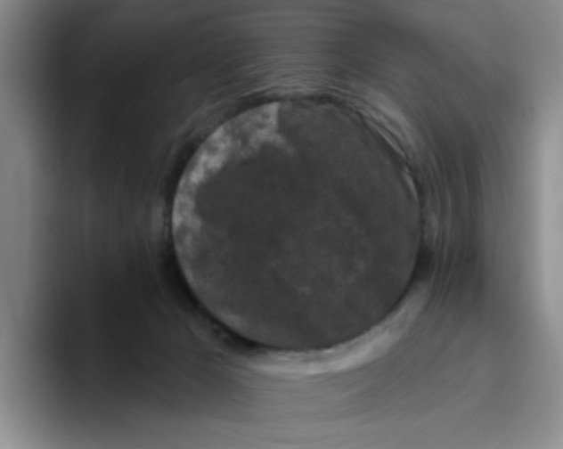 X0000096410029200802211235