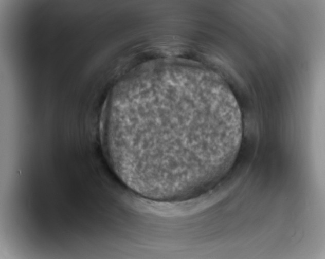 X0000096410030200802211235
