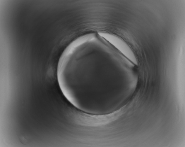 X0000096410031200802211235