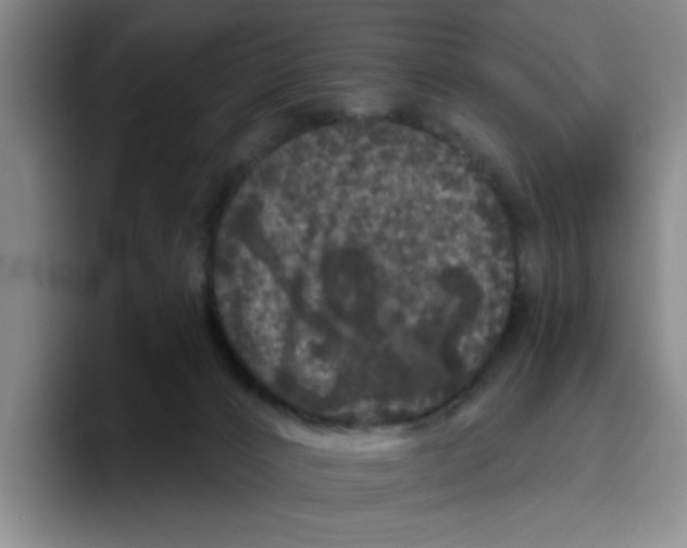 X0000096410032200802211235