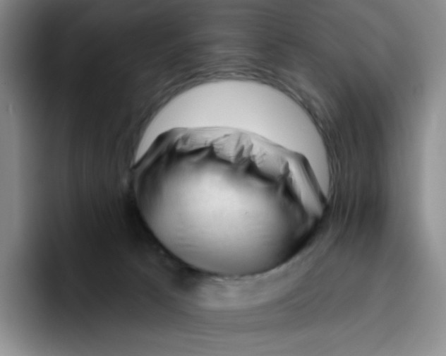X0000096410033200802211235