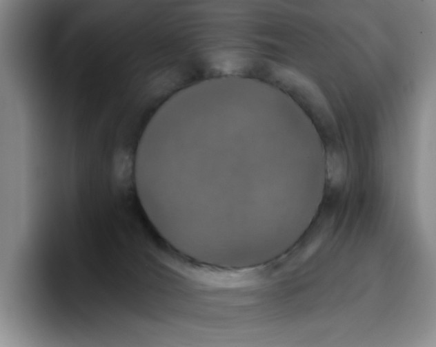 X0000096410036200802211235
