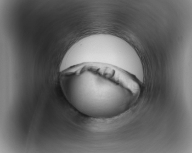 X0000096410037200802211235