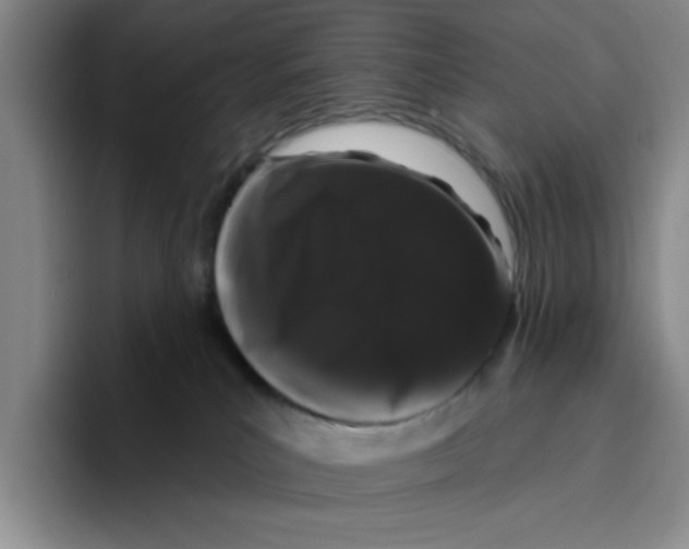 X0000096410039200802211235