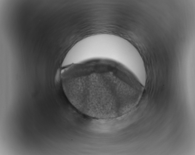 X0000096410041200802211235