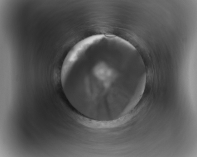 X0000096410043200802211235