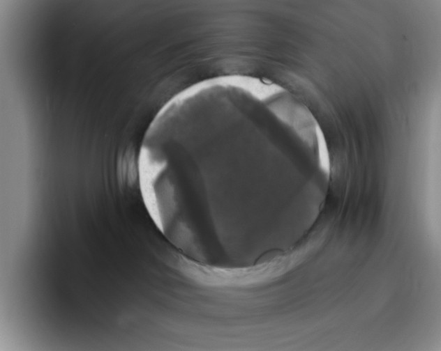 X0000096410046200802211235