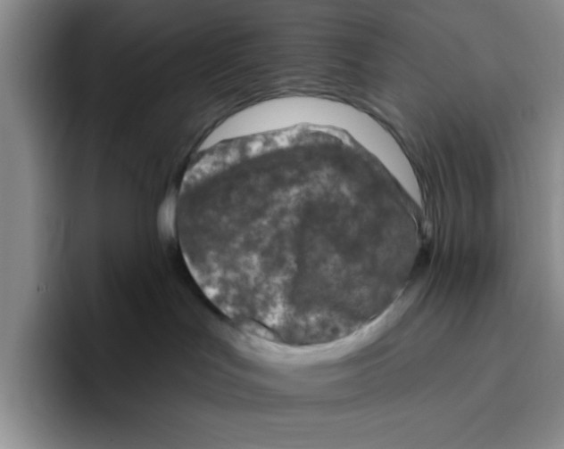 X0000096410047200802211235
