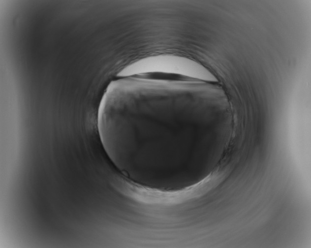 X0000096410048200802211235