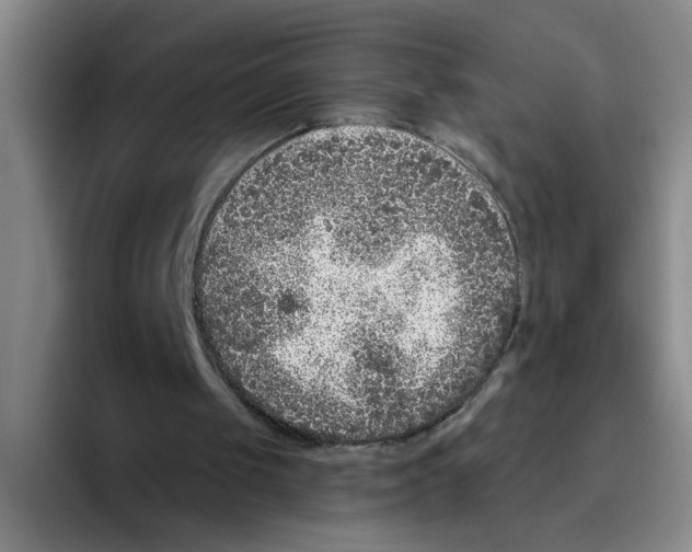 X0000096410049200802211234