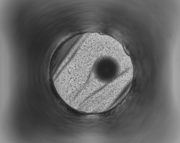 X0000096410050200802211234
