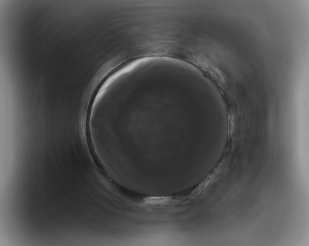 X0000096410051200802211234