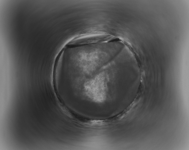 X0000096410052200802211234