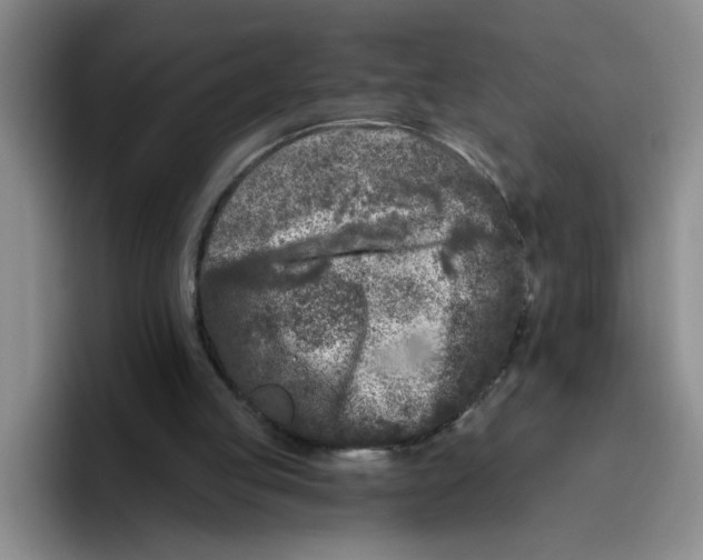 X0000096410053200802211234