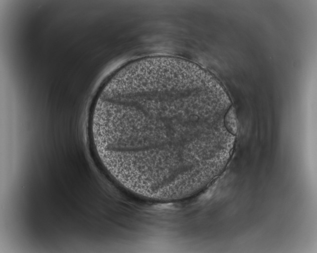 X0000096410054200802211234