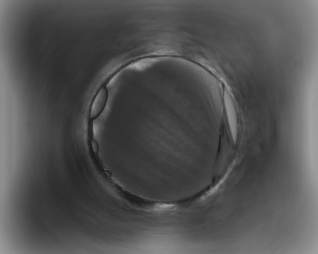 X0000096410055200802211234