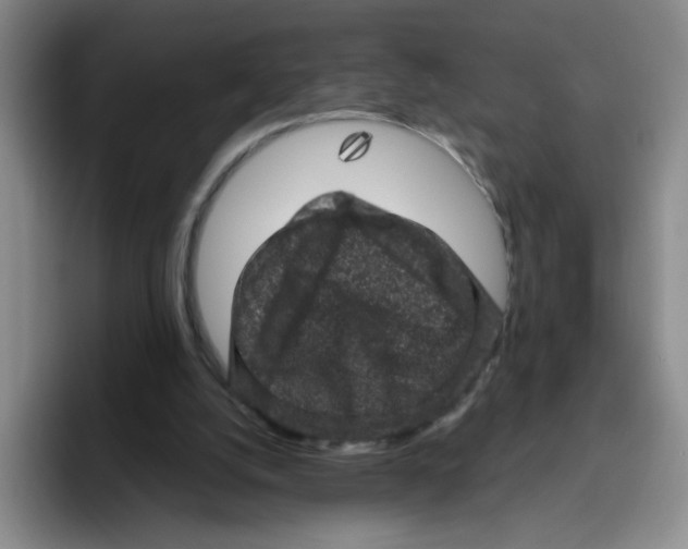 X0000096410056200802211234