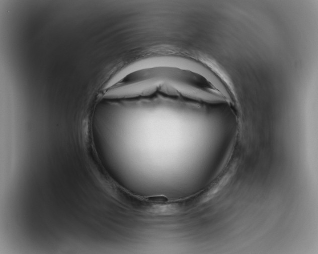 X0000096410057200802211234
