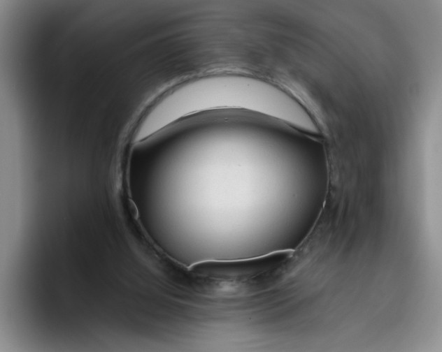 X0000096410060200802211234