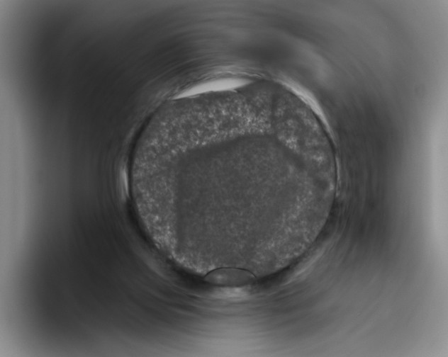 X0000096410061200802211234