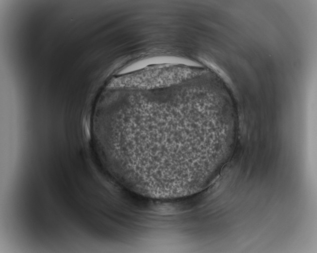 X0000096410062200802211234