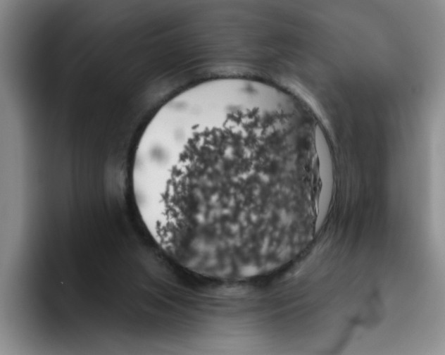 X0000096410063200802211234