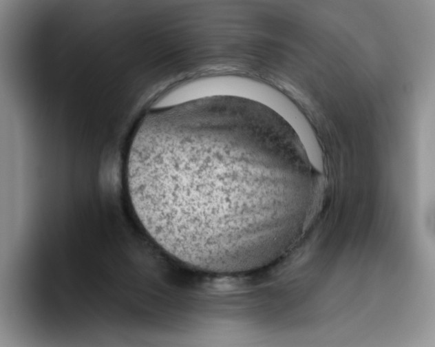 X0000096410064200802211234