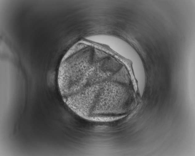 X0000096410066200802211234