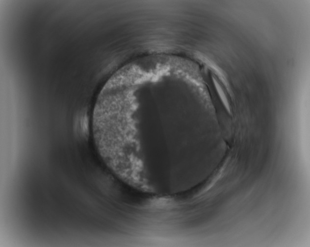 X0000096410067200802211234