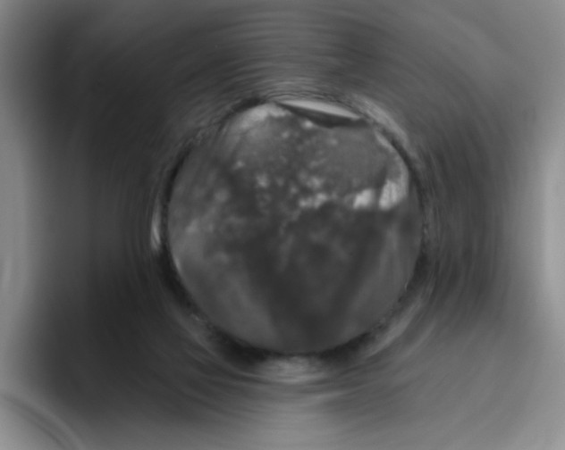 X0000096410069200802211234