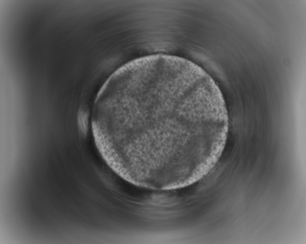 X0000096410070200802211234