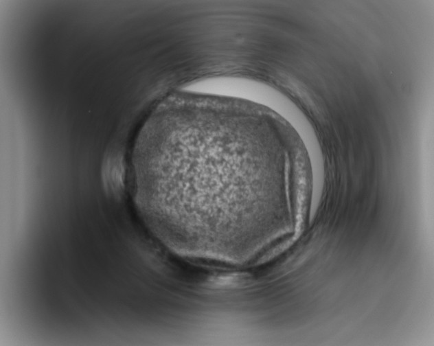 X0000096410072200802211234