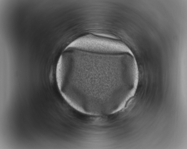 X0000096410074200802211234