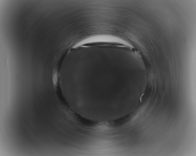 X0000096410076200802211234