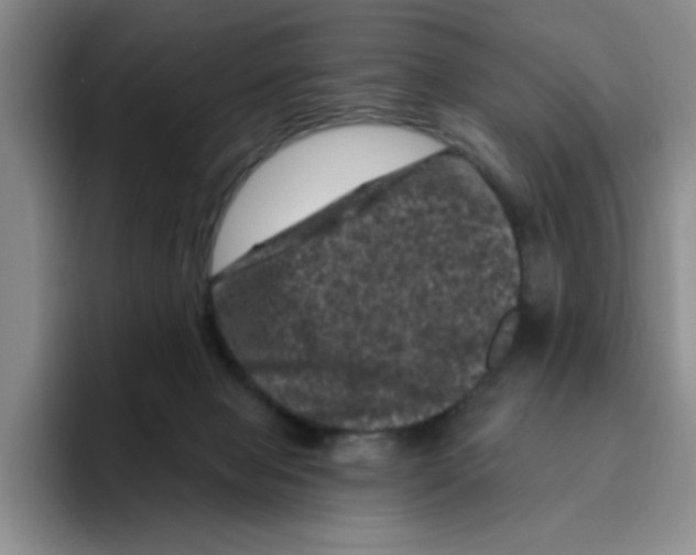 X0000096410077200802211234