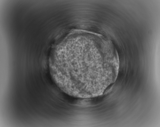 X0000096410078200802211234