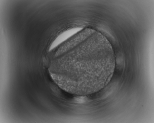 X0000096410079200802211234