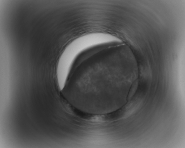 X0000096410080200802211234