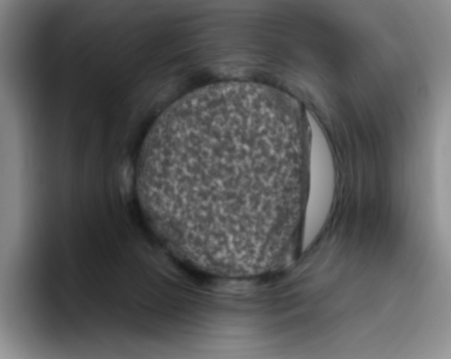 X0000096410081200802211234