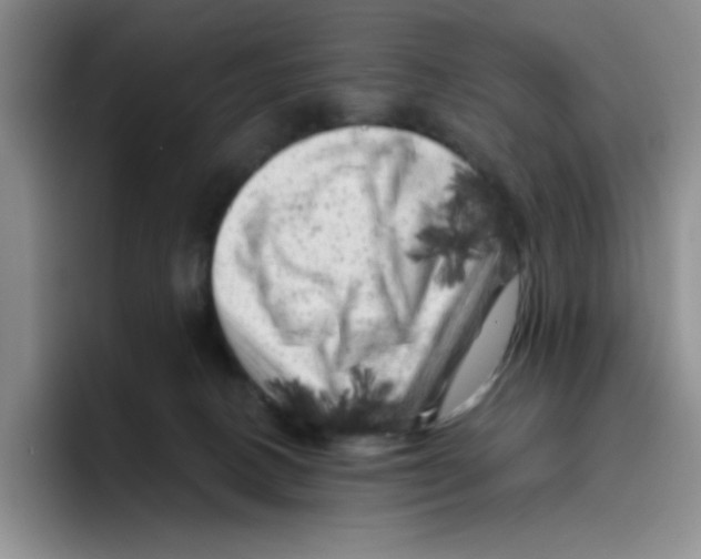 X0000096410082200802211234