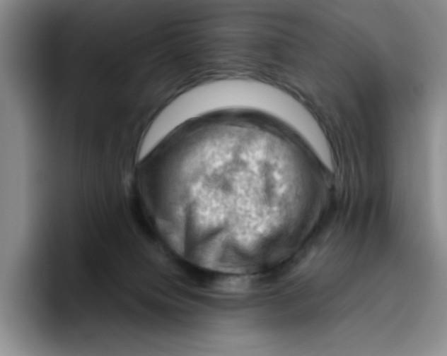 X0000096410084200802211234