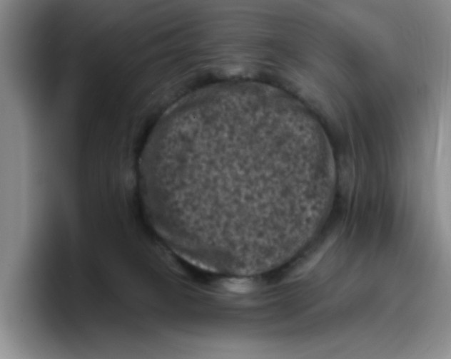 X0000096410085200802211234