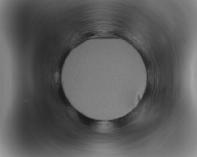 X0000096410087200802211235