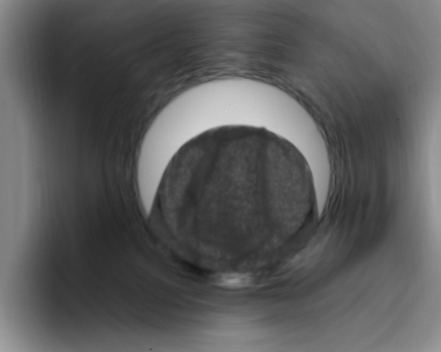 X0000096410088200802211235